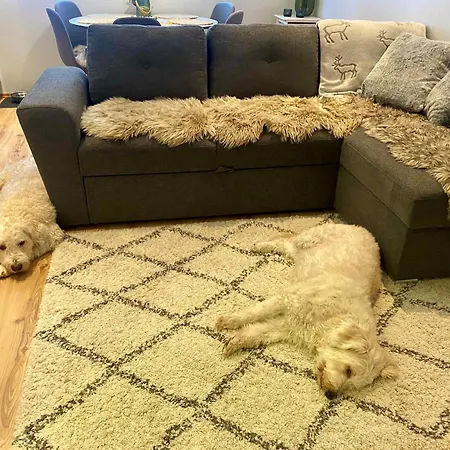 Tunturintaehti Apartment *