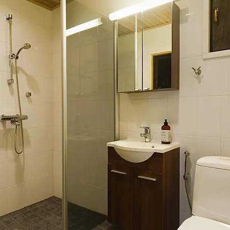 Apartmán Tunturintaehti *