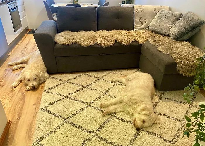 Tunturintaehti Apartment *